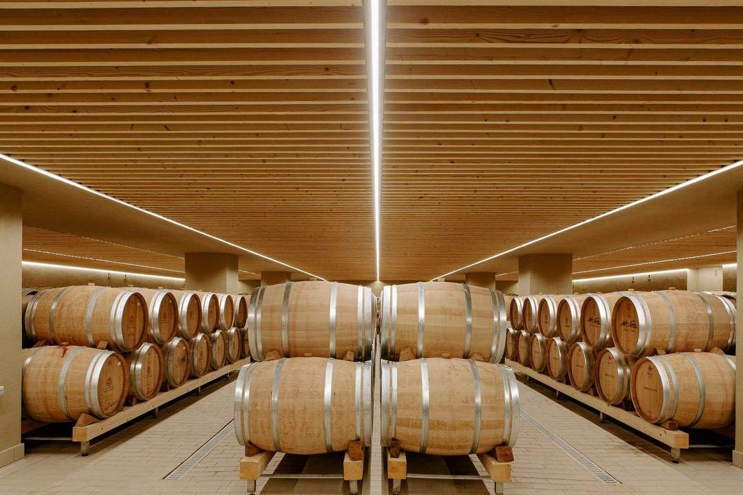 Holzfasslager mit Barriquefässern für Driopi Nemea Classic Rotwein aus Nemea, Agiorgitiko 2021