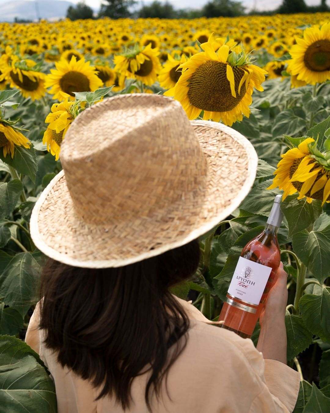 Frau mit Strohhut hält Driopi Rosé Weinflasche in Sonnenblumenfeld