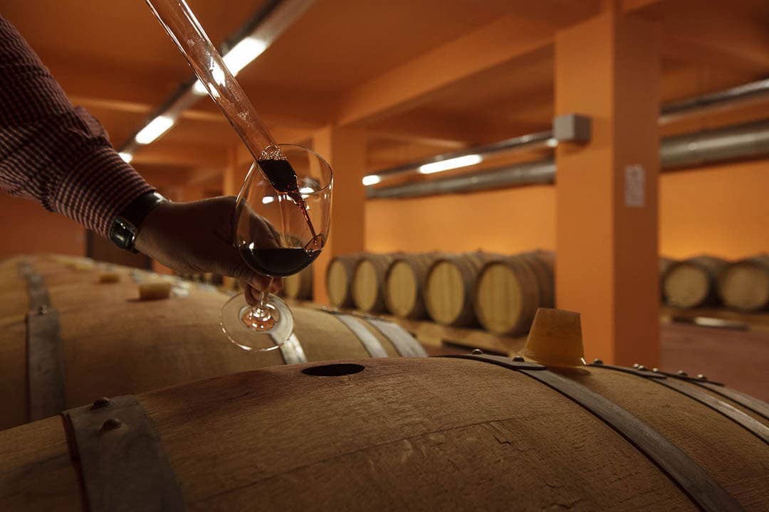 Weinprobe mit Rotwein aus einem Holzfass in einem Weinkeller