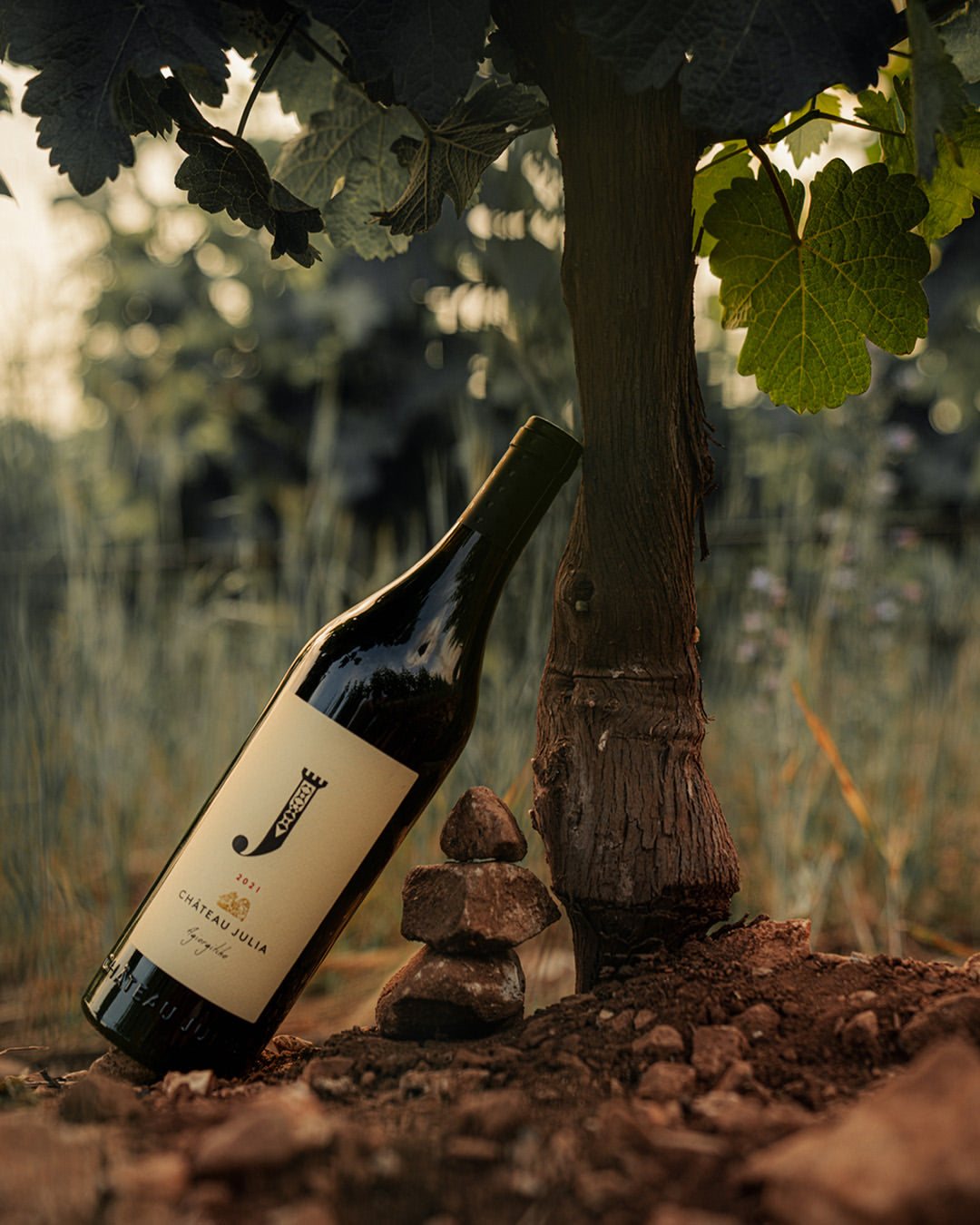 Chateau Julia Agiorgitiko Rotweinflasche im Weinberg mit Rebstock und Erde im Hintergrund