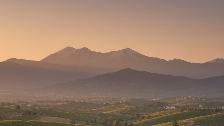 Nemea Weinlandschaft