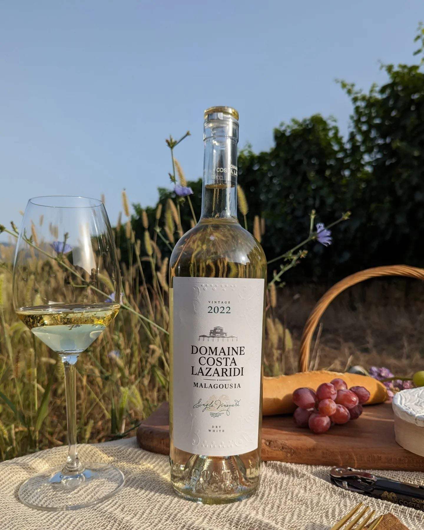 Malagousia Domaine Costa Lazaridi Weißwein 2024 aus Drama mit fruchtigen Aromen und frischer Säure