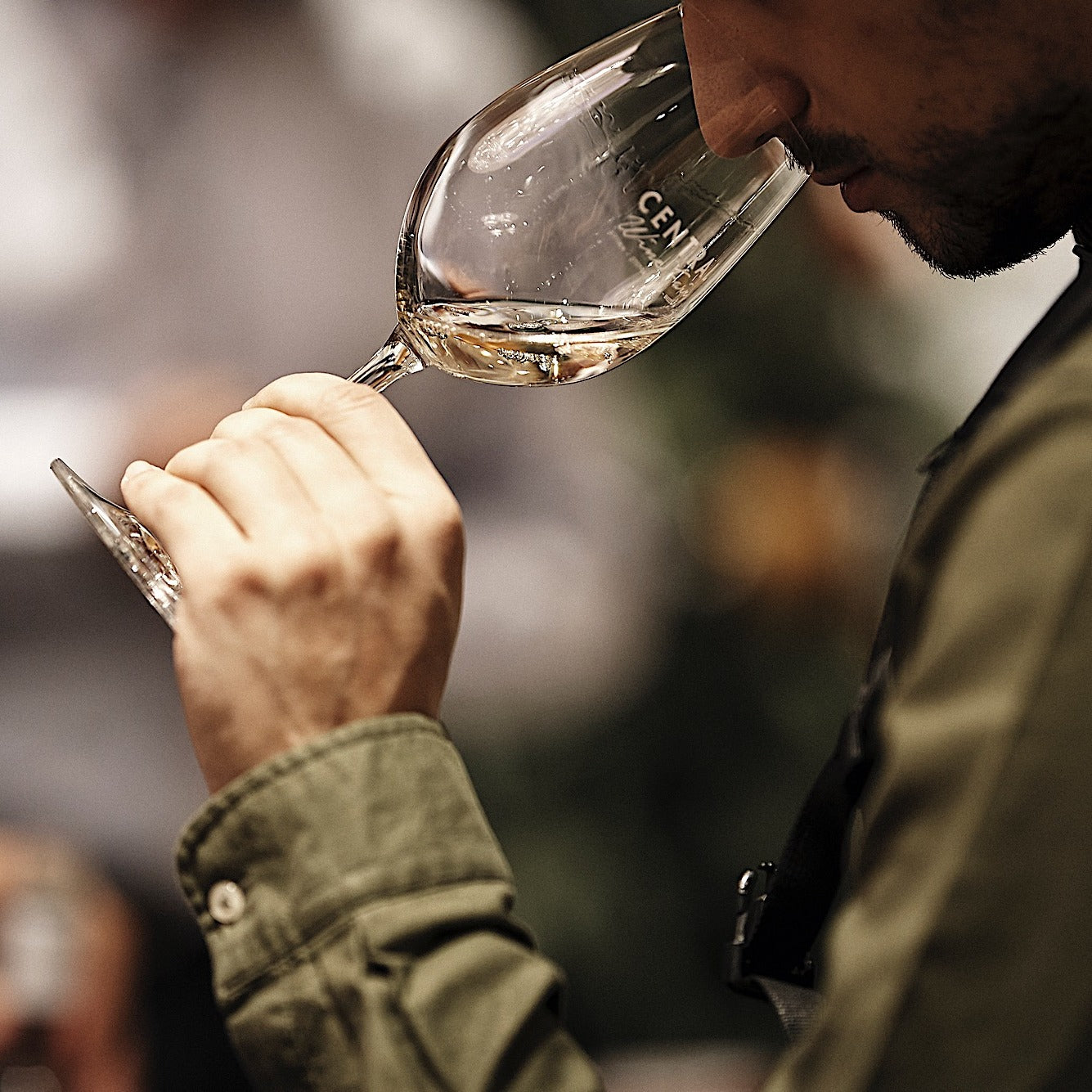 Weinprobe Malagousia | Vineas Probierpaket