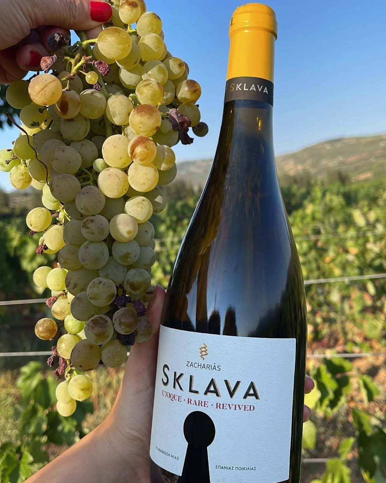 Zacharias Wines Sklava