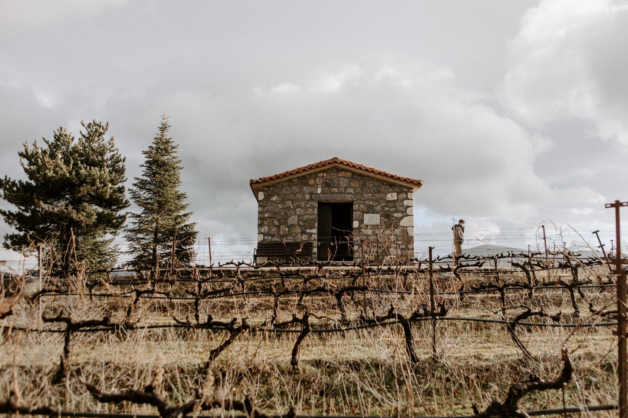 Steinernes Weingutshaus in einer Weinberglandschaft mit Weinreben und Bäumen im Vordergrund.