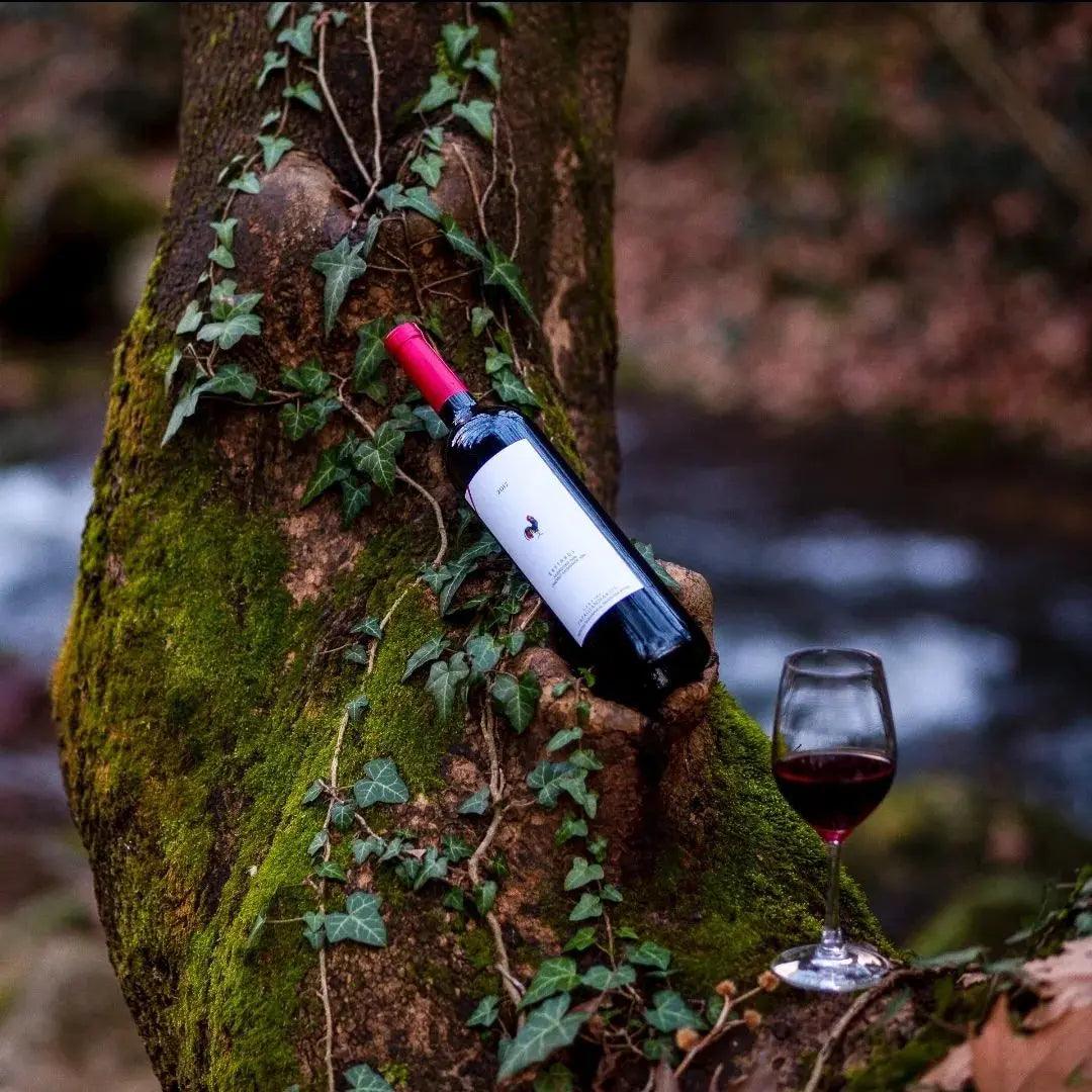 Papagiannakos Erythros Rotwein Flasche im Wald mit Glas, fruchtiger trockener Rotwein aus Griechenland, 2021 Jahrgang
