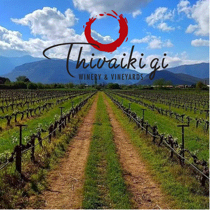 Story Malagousia Weinberg Zentralgriechenland Theben PGI trocken 2024