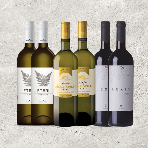 Weißwein- und Rotwein-Set mit FTERI und LEXIS Flaschen in verschiedenen Sorten