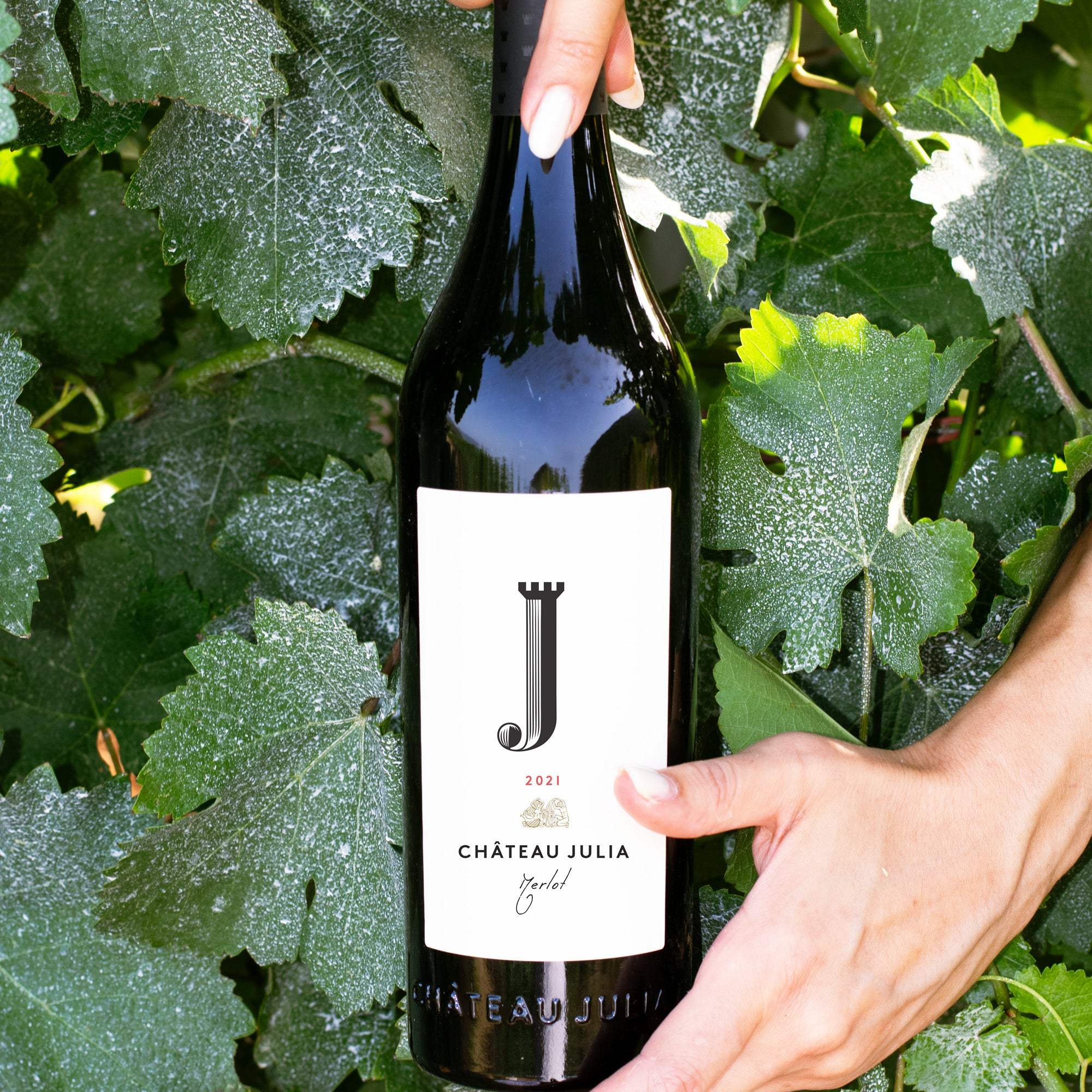 Chateau Julia Merlot Weinflasche 2021 in Weinreben mit grünem Laub