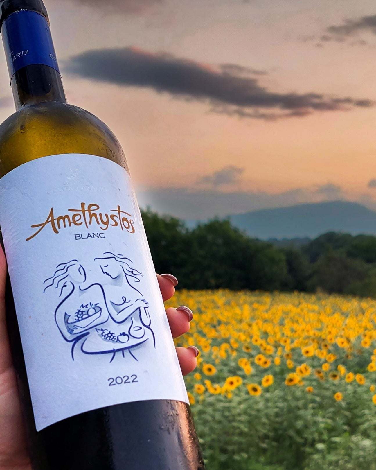 Flasche Amethystos White Wein, Sauvignon Blanc und Assyrtiko, 2024, Sonnenblumenfeld im Hintergrund