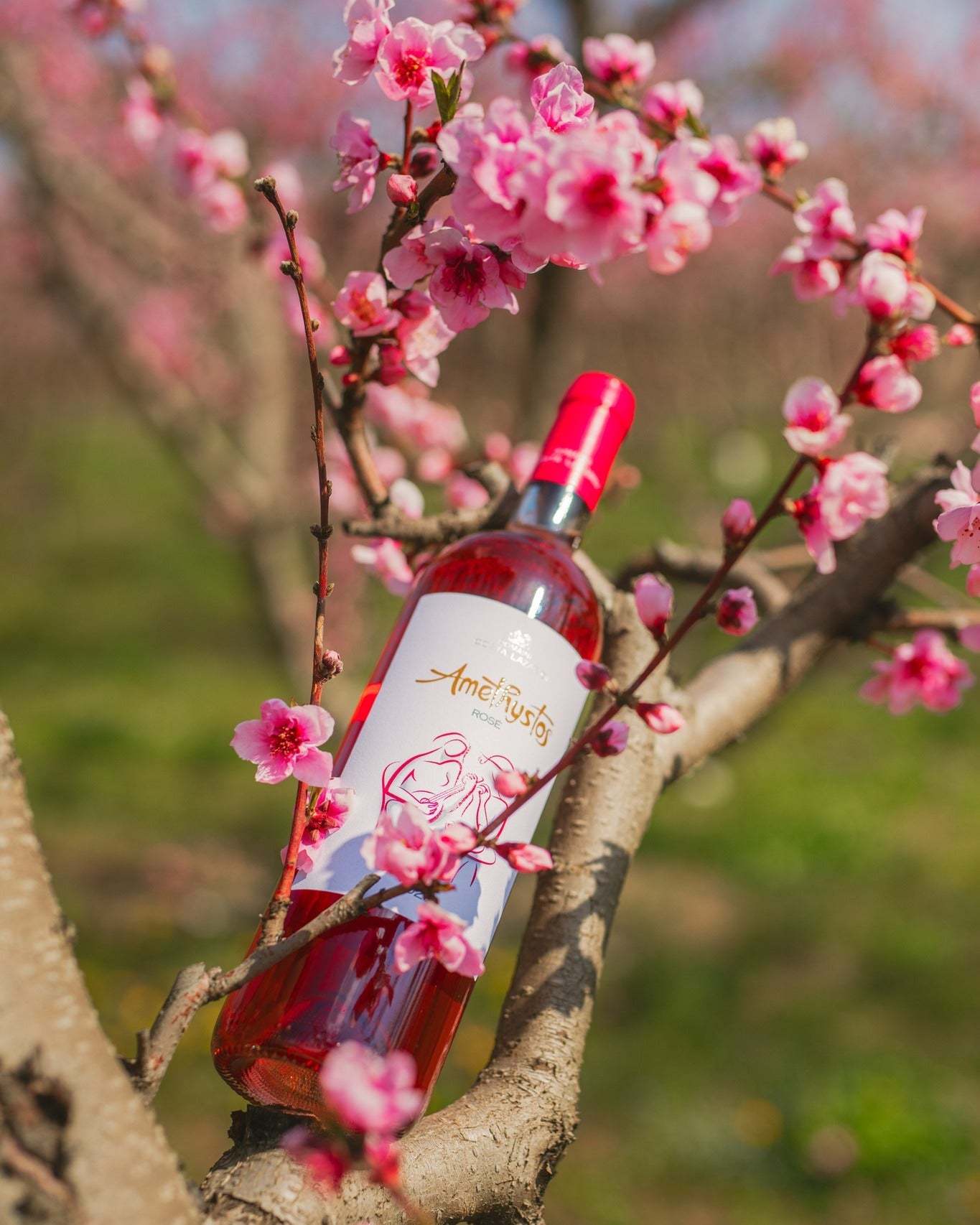 Flasche Amethystos Rosé Wein in blühendem Baum, leuchtend rosa Farbe, 2024 Jahrgang