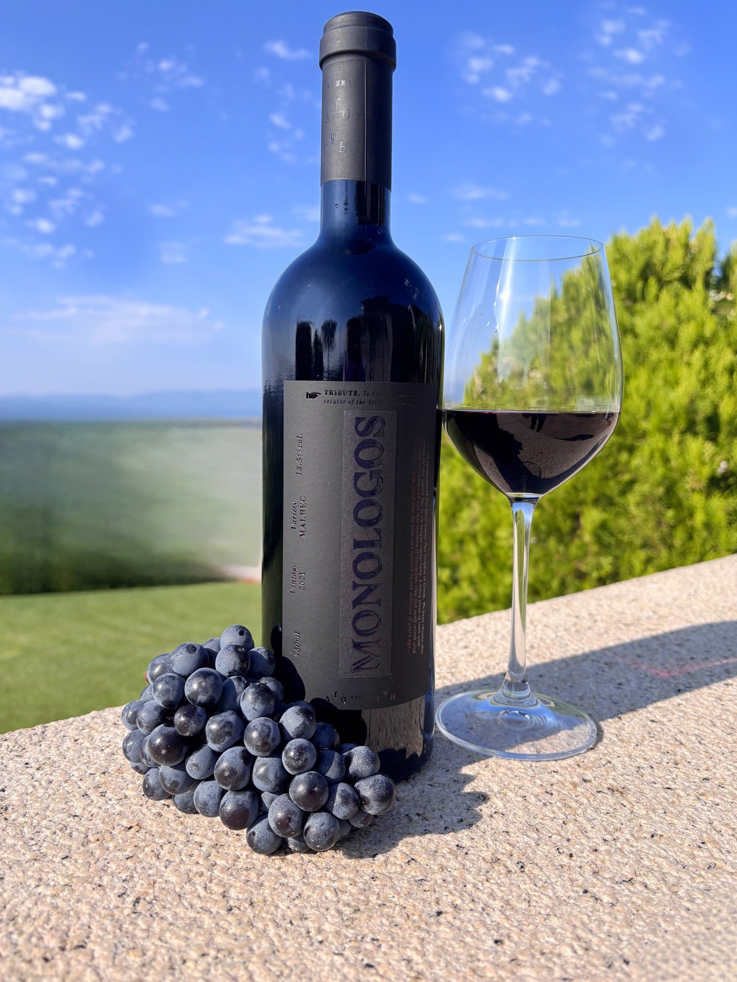 Monologos Malbec von Dyo Ipsi Estate in einer Flasche mit Trauben und einem Glas auf einer Steinoberfläche