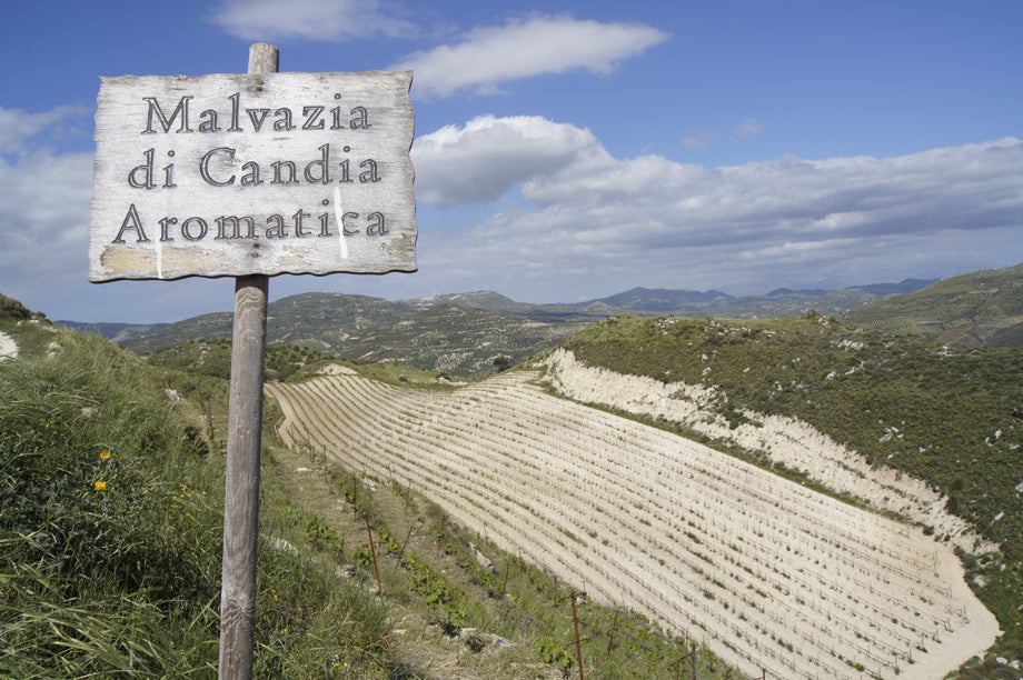 Holzschild mit der Aufschrift "Malvazia di Candia Aromatica" in einer Weinlandschaft