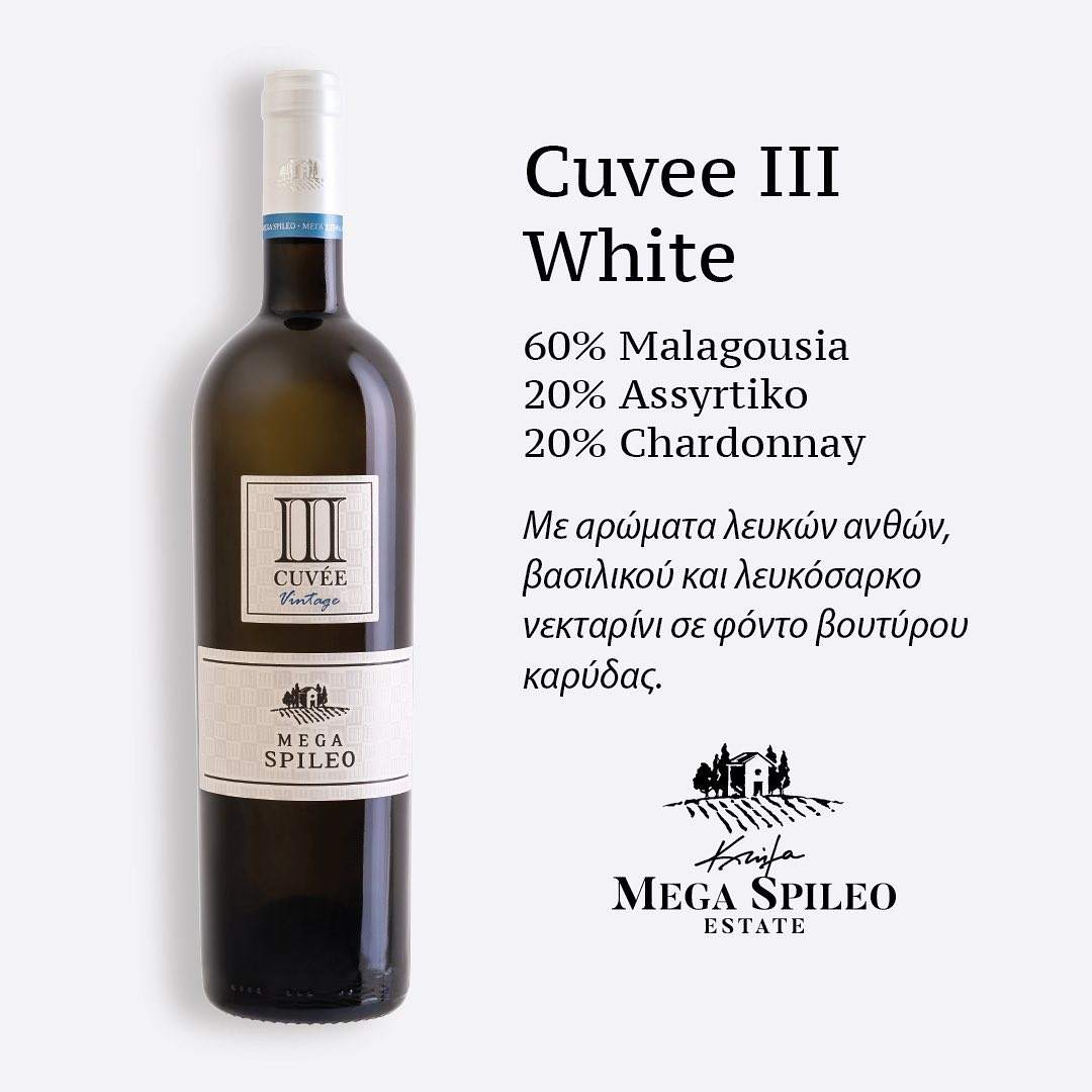 Mega Spileo Cuvee III Weißwein 2023 aus Achaia, Malagousia, Assyrtiko, Chardonnay, trocken, mit Holzfassausbau, aromatisch und cremig