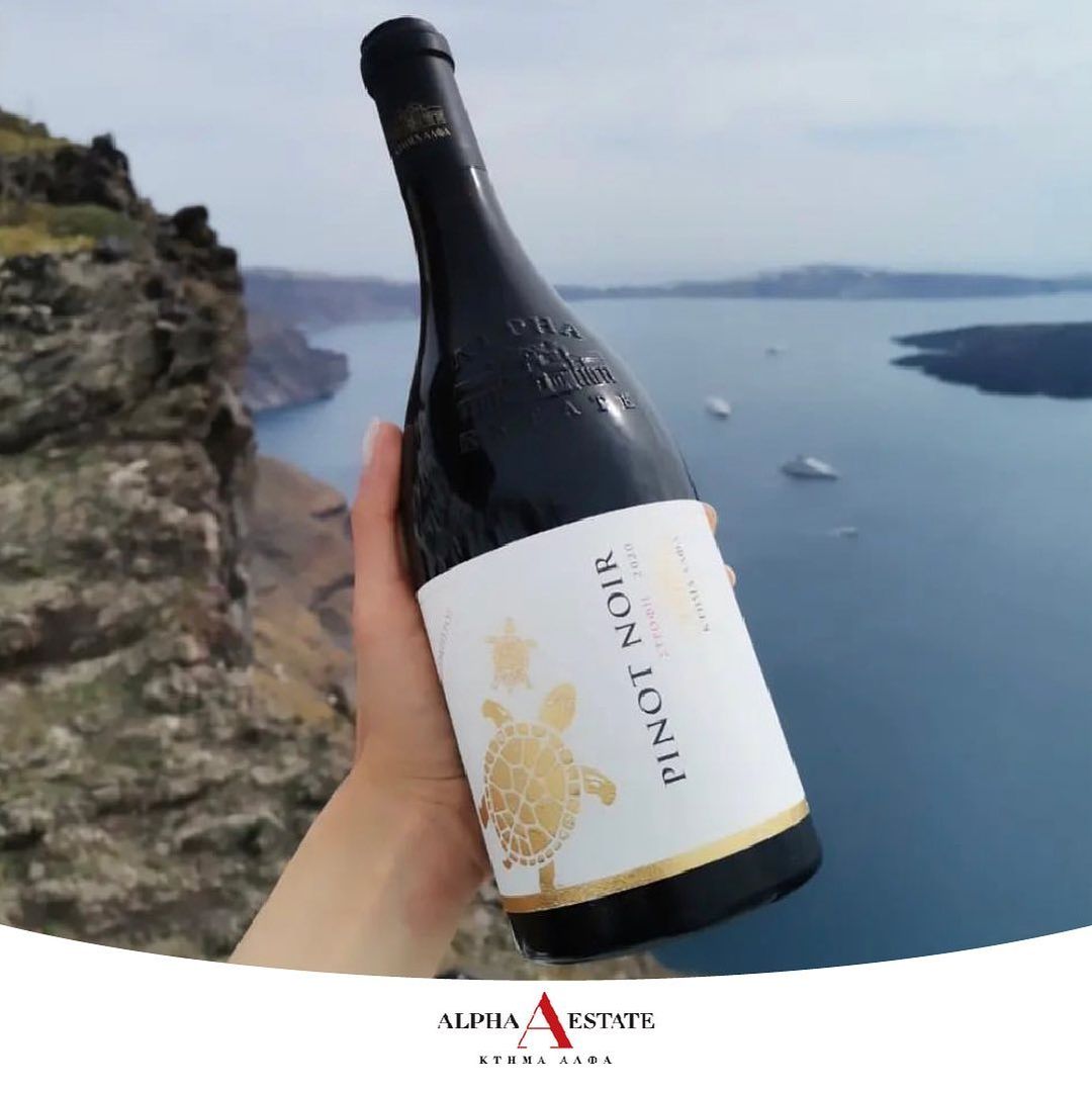 Edler roter Pinot Noir von Alpha Estate, im Hintergrund atemberaubendes Panorama mit Meerblick