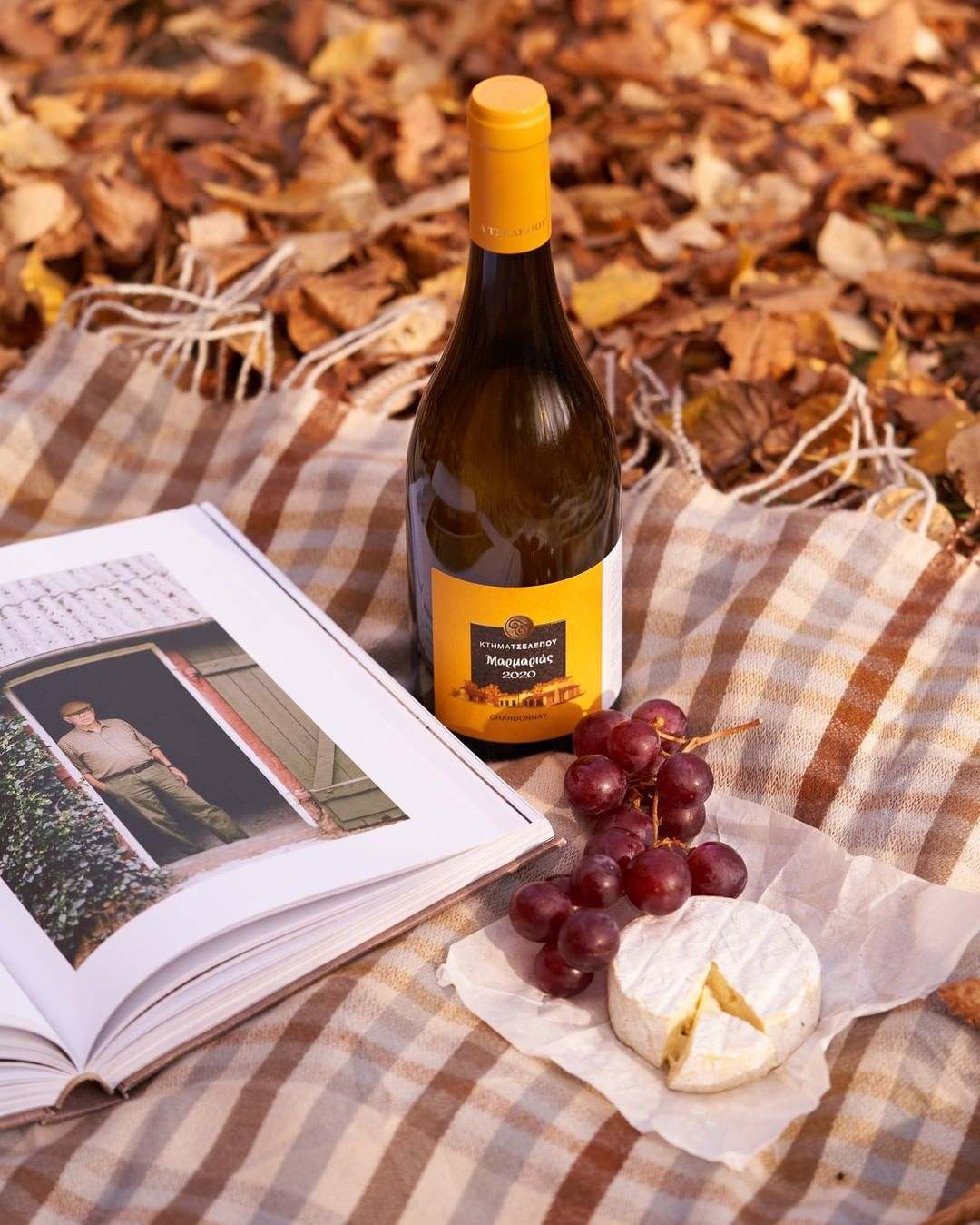 Tselepos Marmarias Chardonnay Weinflasche mit Trauben und Käse auf kariertem Tuch im Herbstlaub