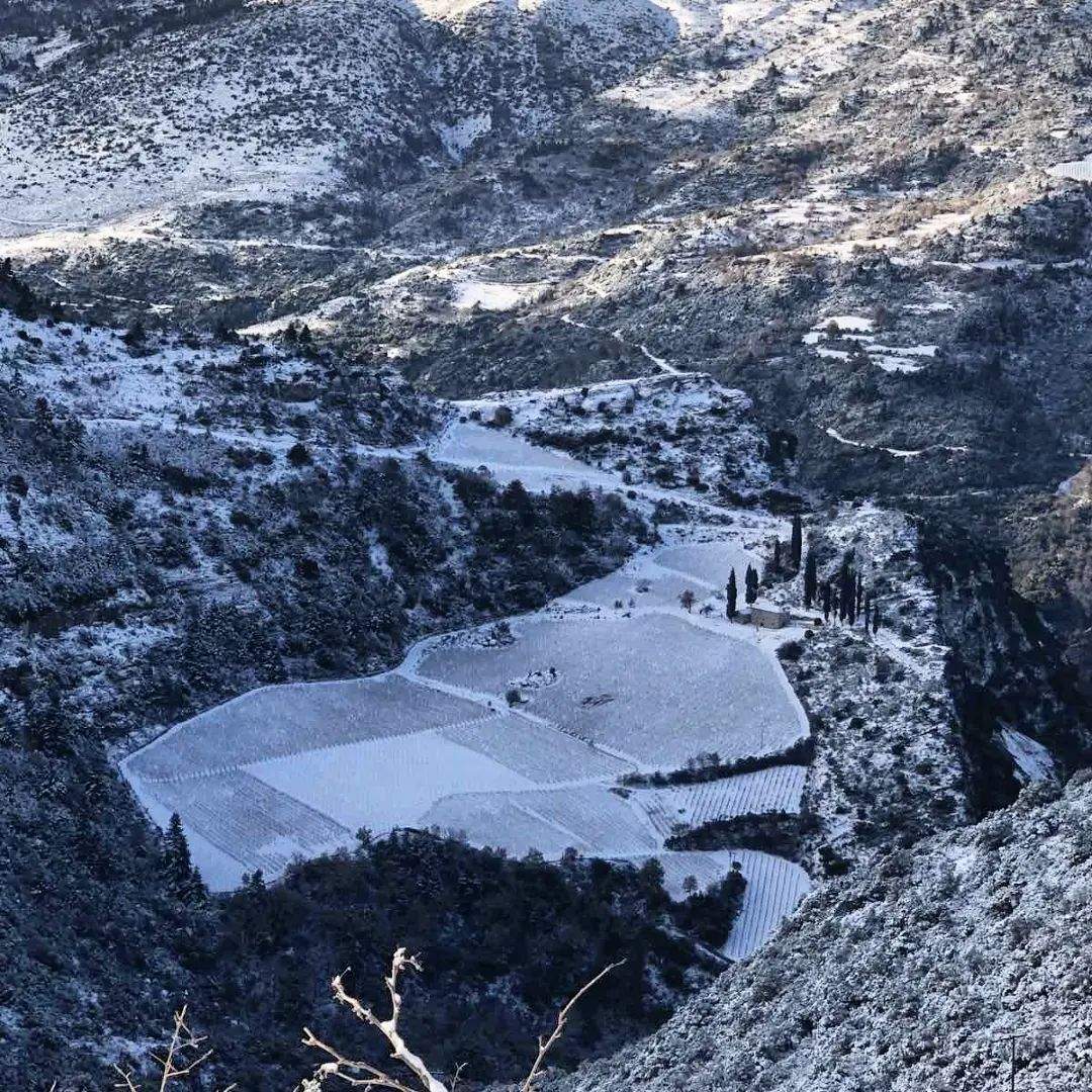 Verschneite Weinberge des Mega Spileo Grande Cave in Achaia, Kalavrita, Griechenland, 2016er Jahrgang