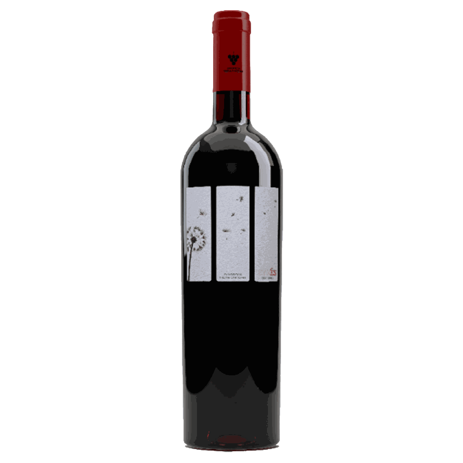 Evches Red Rotwein 2019 aus Makedonia mit Cabernet, Syrah und Xinomavro Rebsorten, 12 Monate Holzfassausbau, 14,5% Vol.