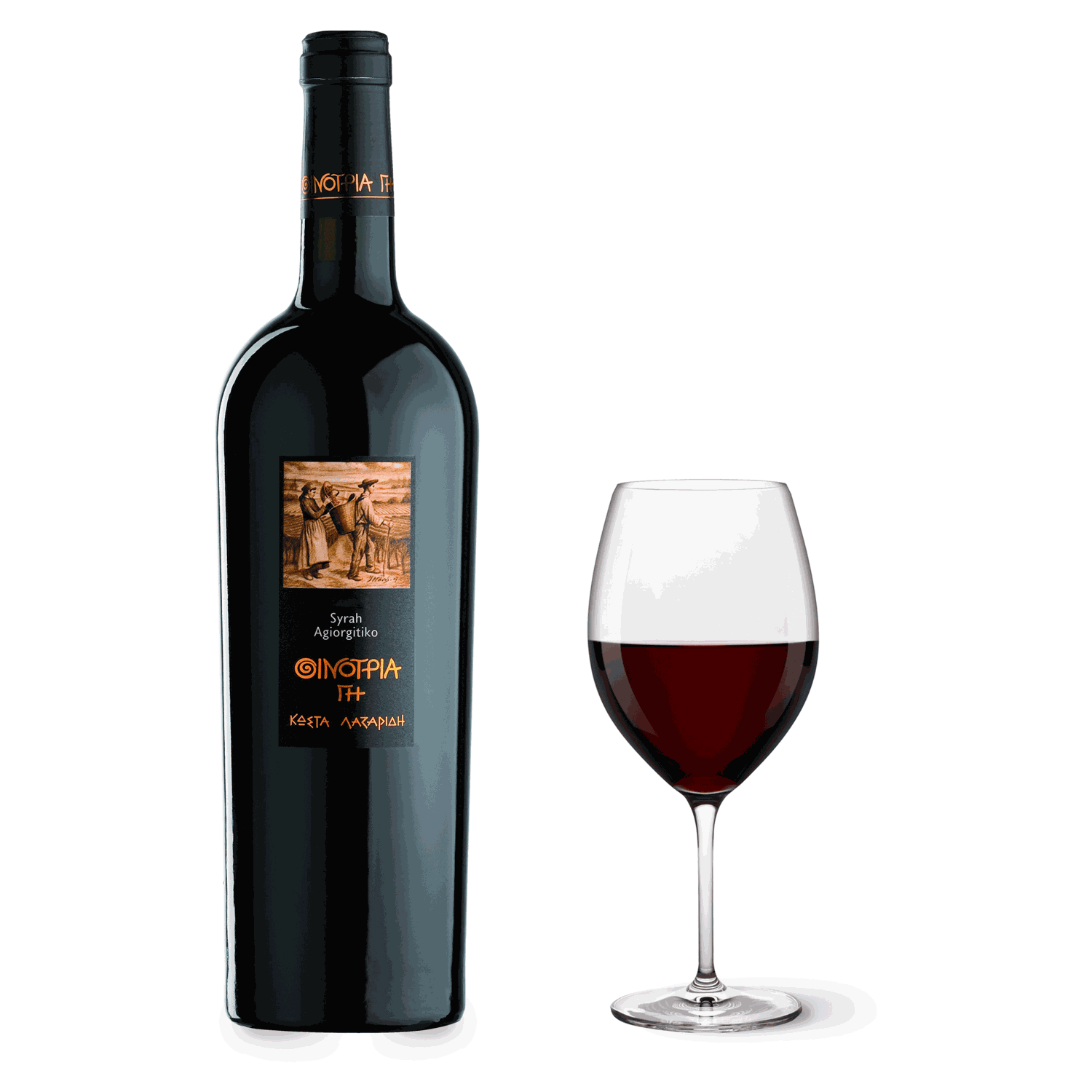 Oenotria Land Syrah-Agiorgitiko Bio Rotwein aus Attika mit Syrah und Agiorgitiko Trauben, aromatisch und elegant