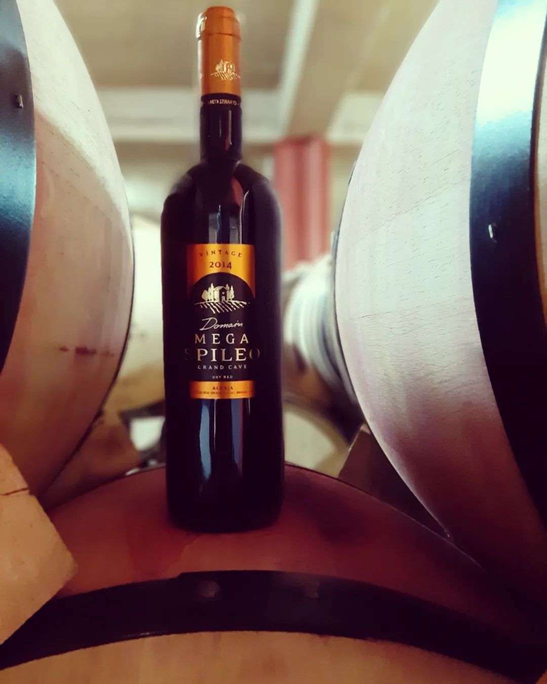 Flasche Mega Spileo Grande Cave Rotwein vor Holzfässern im Weinkeller