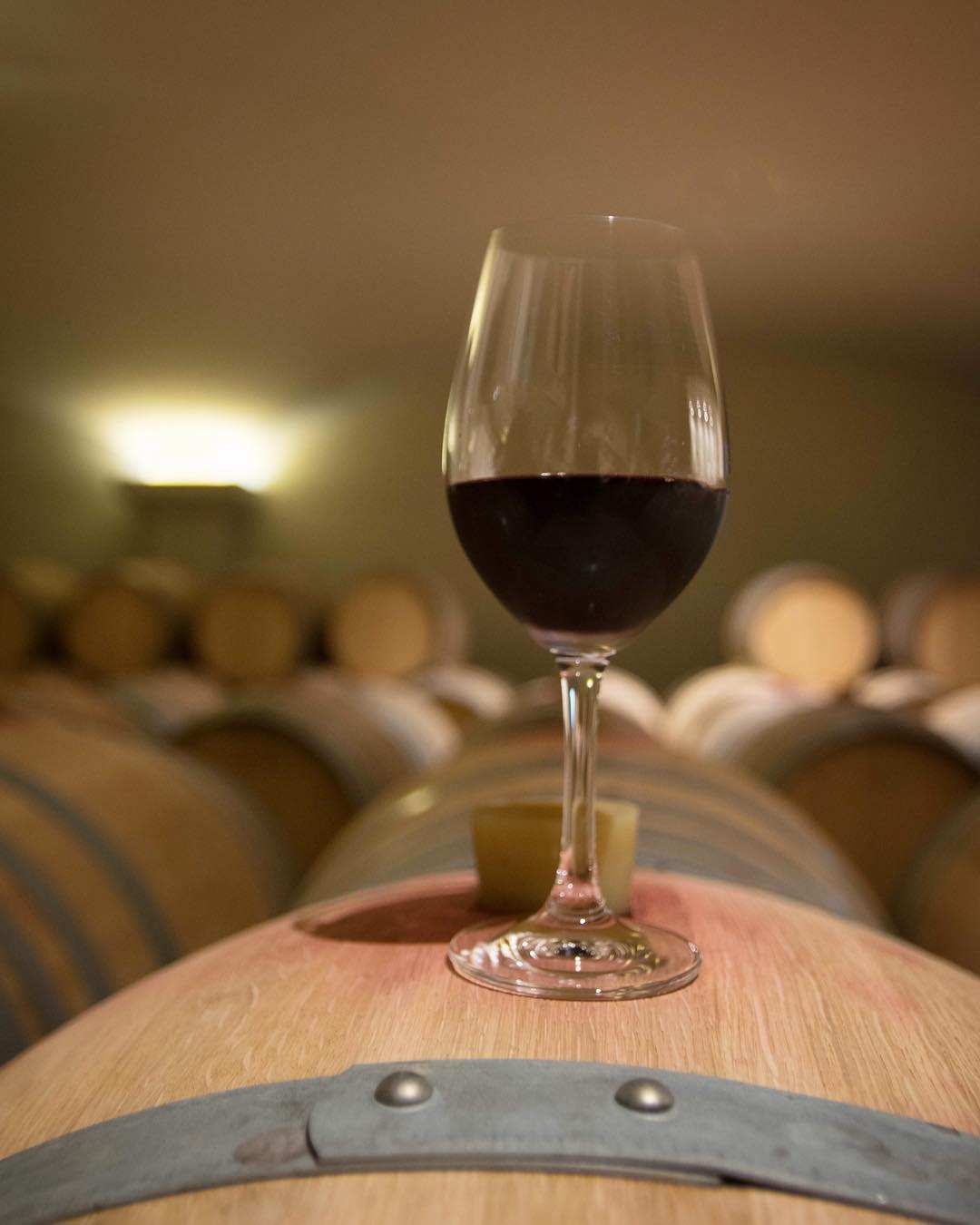 Glas Mega Spileo Syrah Rotwein im Weinkeller auf Holzfass stehend