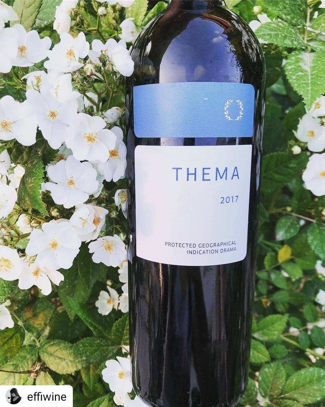 Pavlidis Thema White Weißweinflasche vor weißen Blüten mit Rebsorten Sauvignon und Assyrtiko aus Drama Region 2024