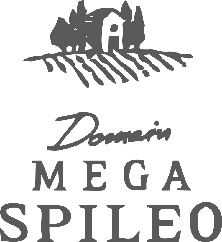 Logo von Mega Spileo auf grauem Hintergrund mit Schriftzug und Hauszeichnung