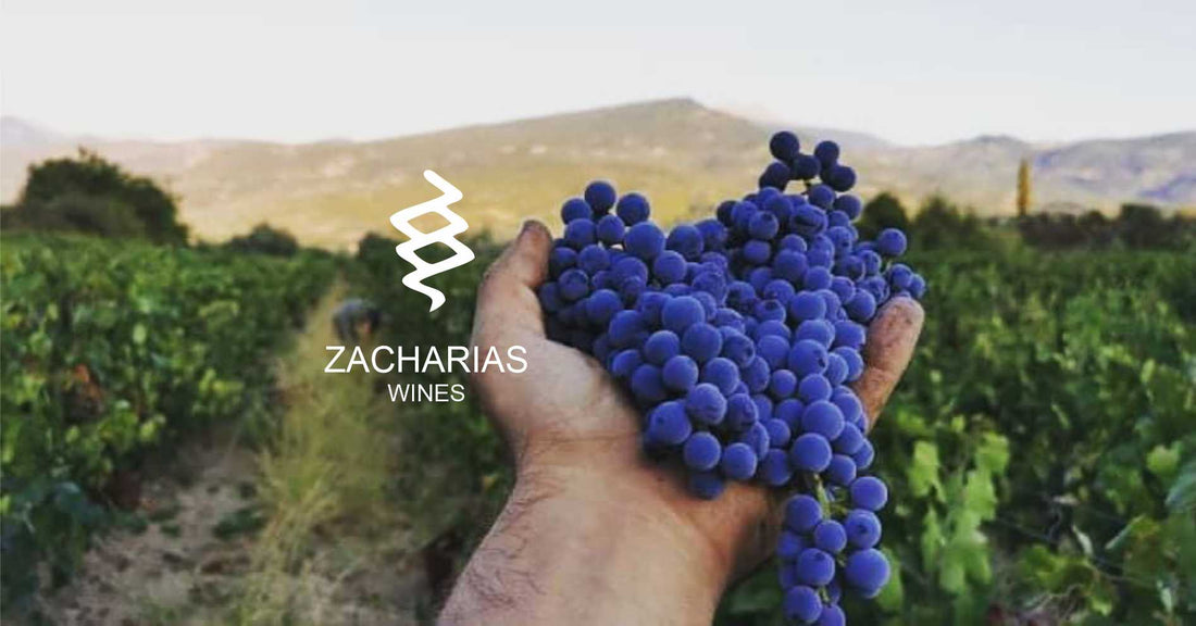 Saftig und vollmundig: Köstliche Nemea-Trauben aus dem Anbaugebiet Griechenlands