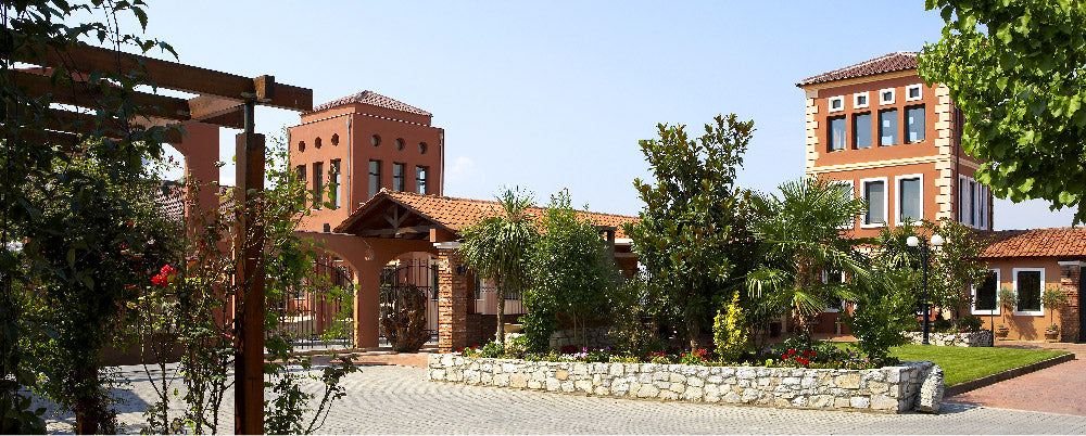 Üppige Weinanbaulandschaft in Drama - Hochwertiger Direktimport von Vineas.shop