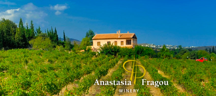 Anmutige Weinberge mit griechischem Weingut - Anastasia Fragou Winery in Attika