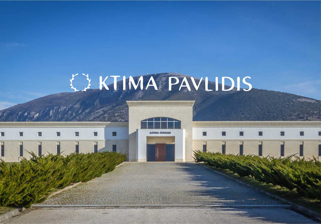 Wunderschönes griechisches Weingut Ktima Pavlidis in Drama