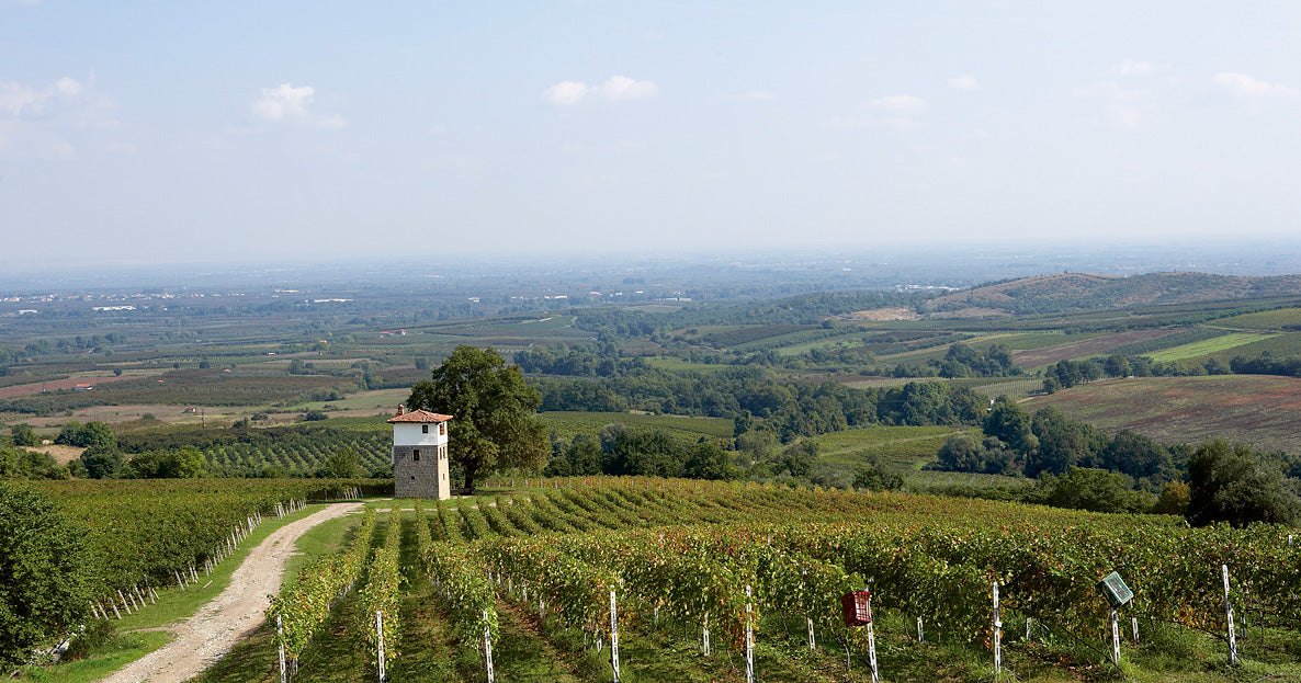Pittoreske griechische Weinberglandschaft mit Wachturm