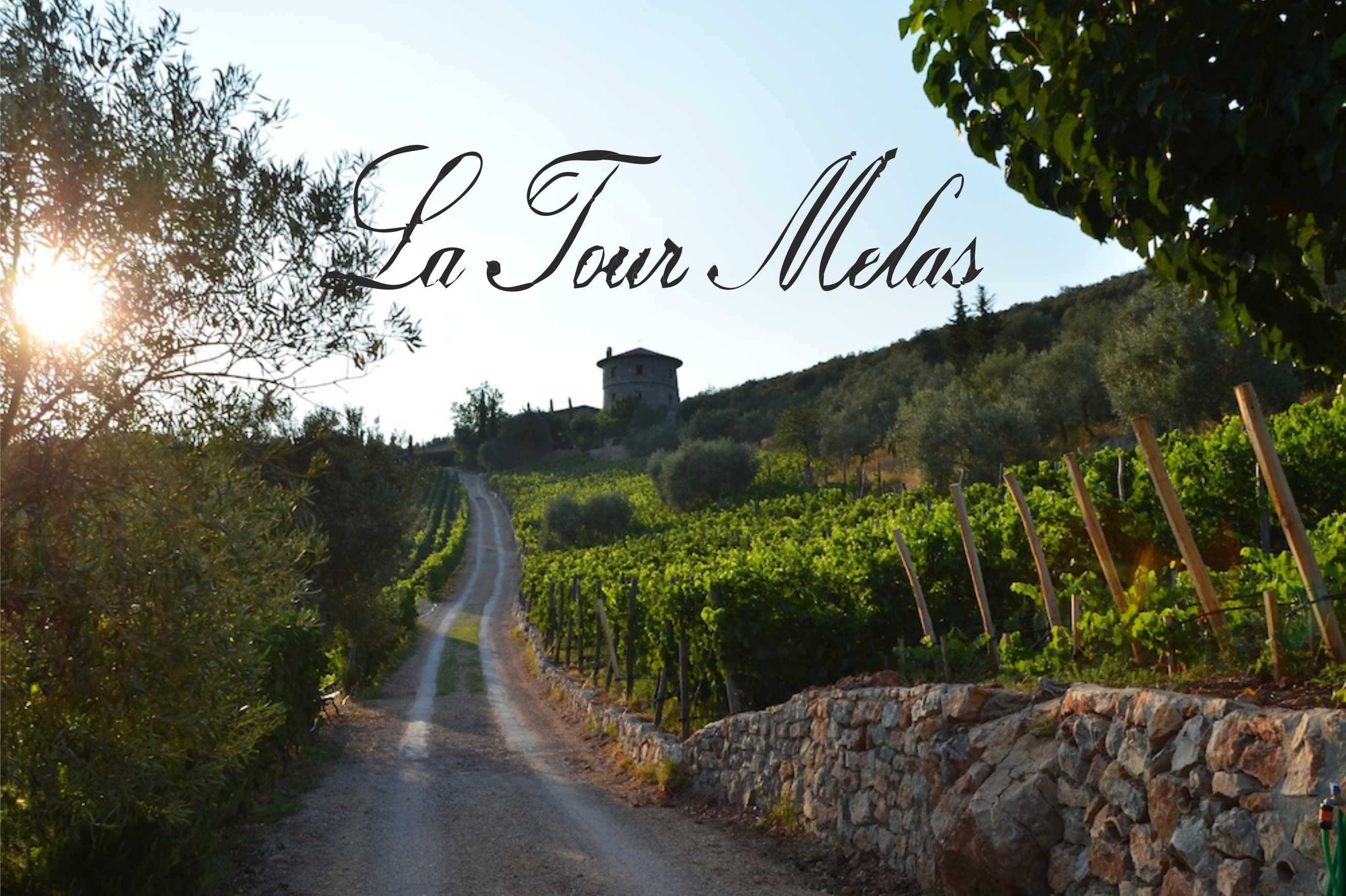 Malerischer Weinberg mit prachtvoller Tour Melas-Weinkellerei