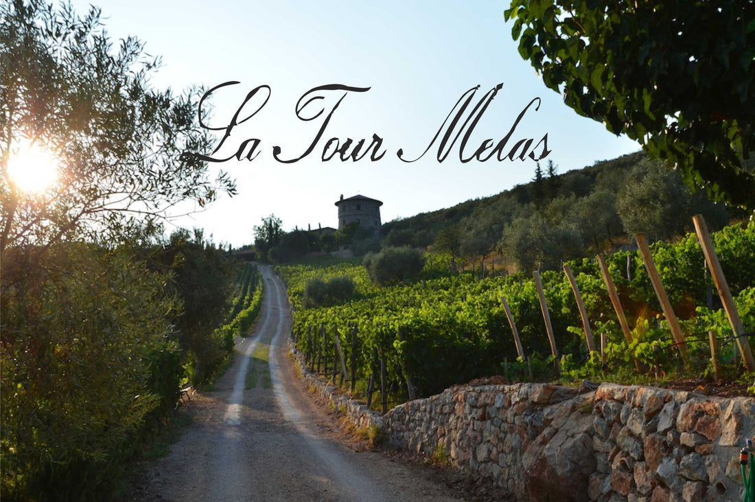 Malerischer Weinberg mit prachtvoller Tour Melas-Weinkellerei