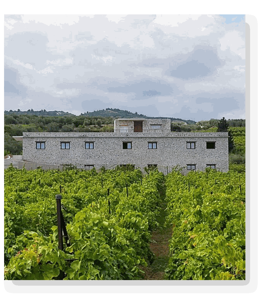 Papargyriou Estate - Griechische Seele mit deutschem Tiefgang