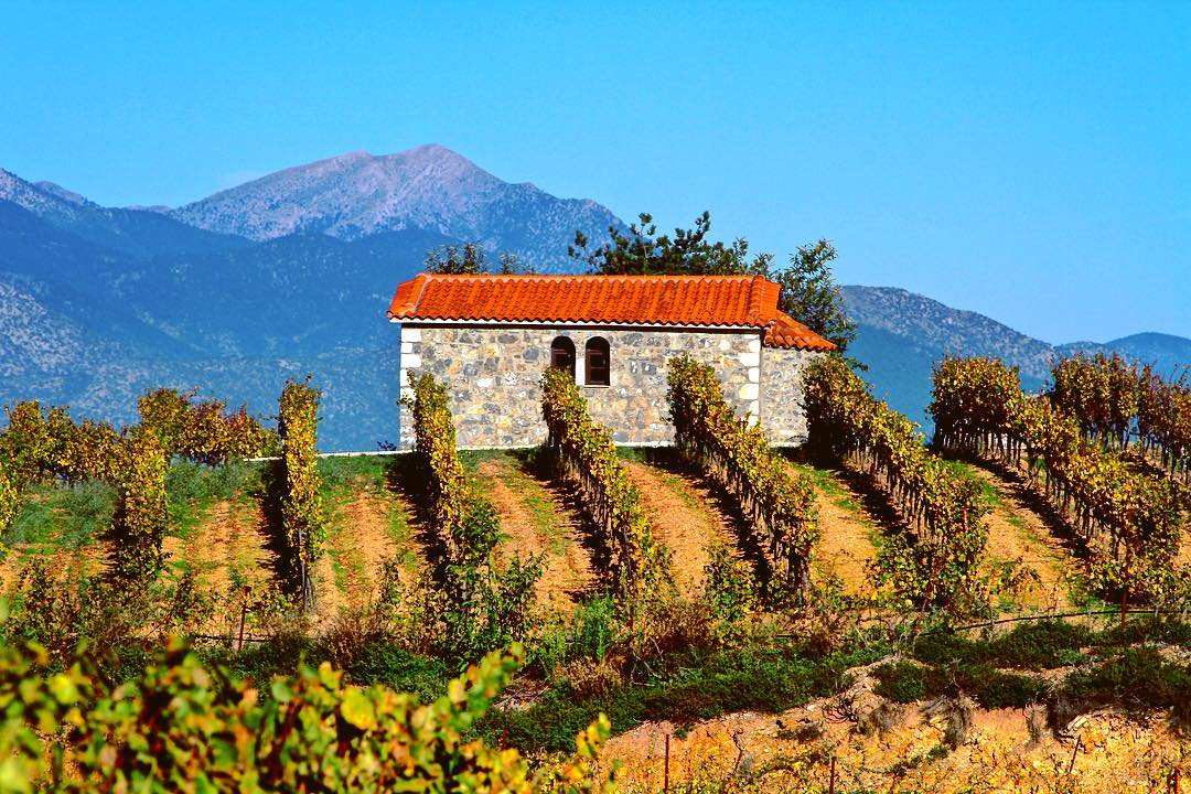 Griechischer Weingut im Nemea-Gebiet mit malerischen Weinbergen und Berglandschaft
