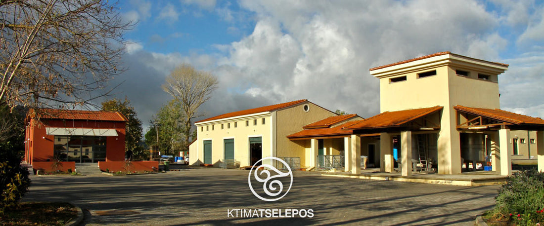 Griechische Weine von Domaine Tselepos - Arkadien