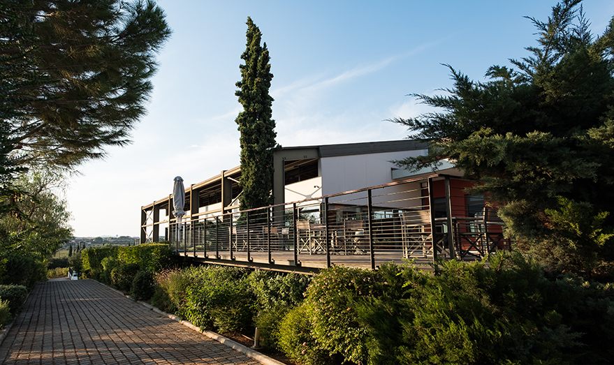 Holzterrasse eines Restaurants umgeben von Bäumen und Sträuchern bei klarem Himmel.