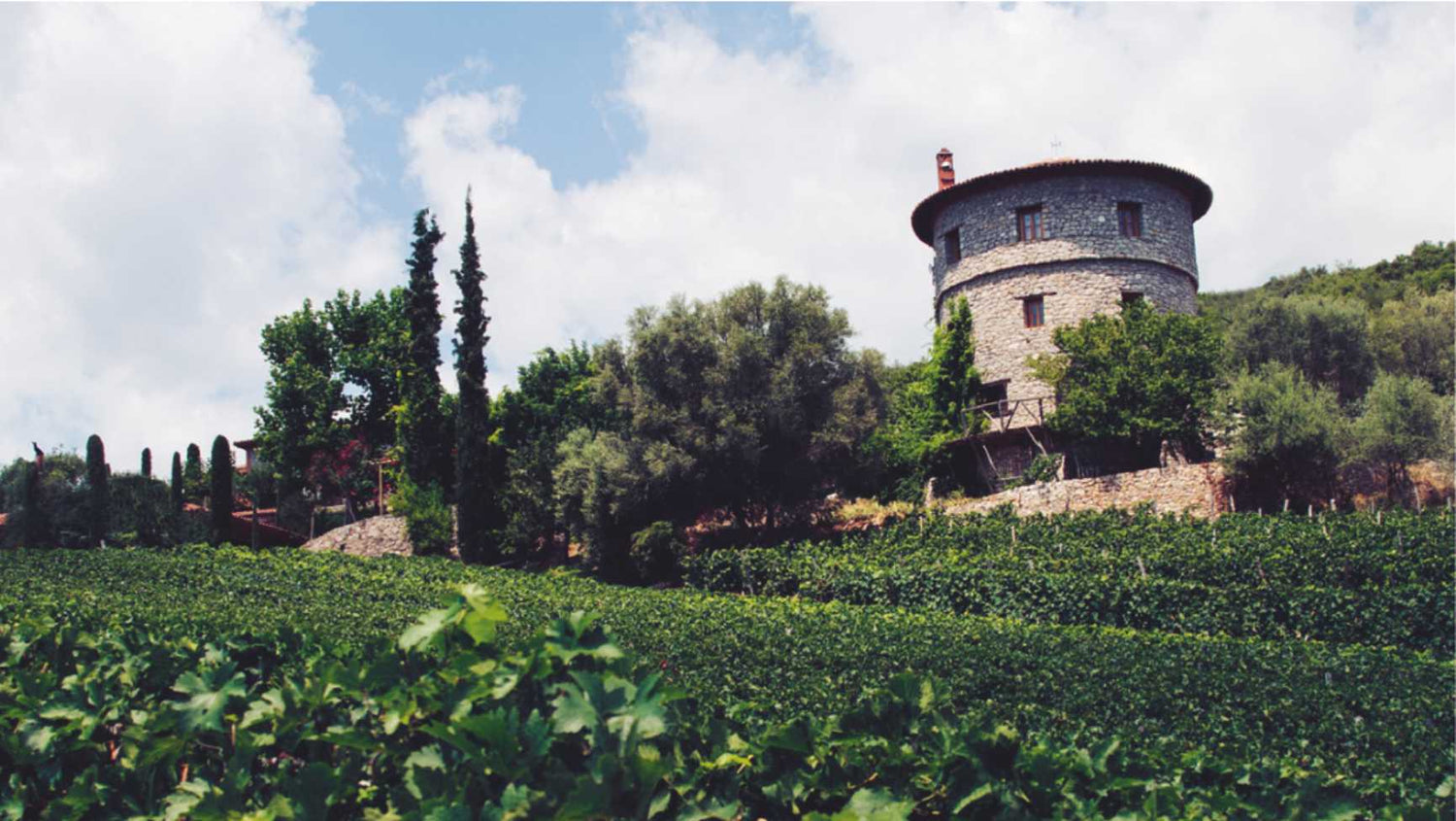 La Tour Melas | Winery | Vineas