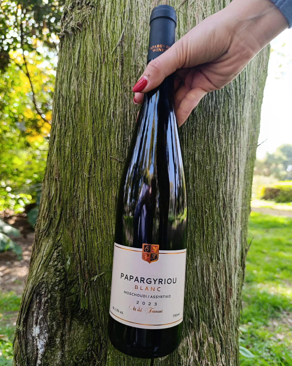 Papargyriou - Blanc Wild Ferment