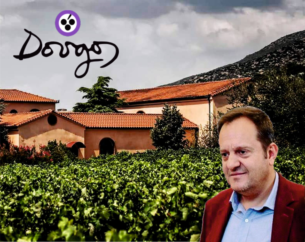 Weinberg mit grünen Reben und einem Gebäude im Hintergrund, daneben ein Mann in einem roten Sakko.