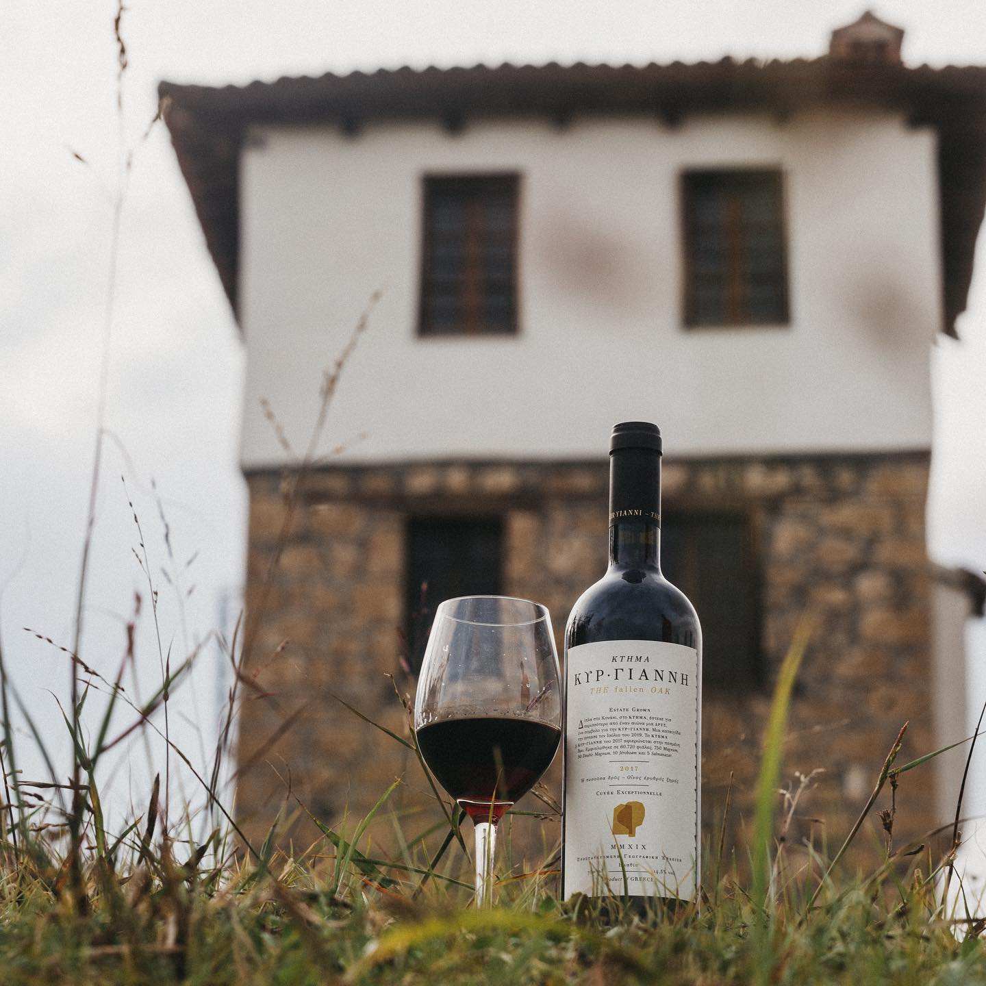 Kir Yianni Estate The Fallen Oak Rotwein 2019 aus Merlot und Syrah in einer eleganten Flasche mit Glas