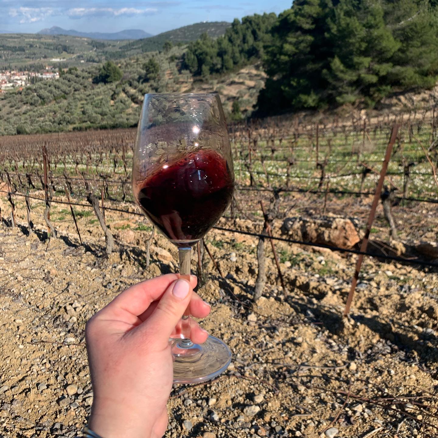 Rotwein in einem Weinglas vor Weinreben in einer Landschaft mit Hügeln und Bäumen