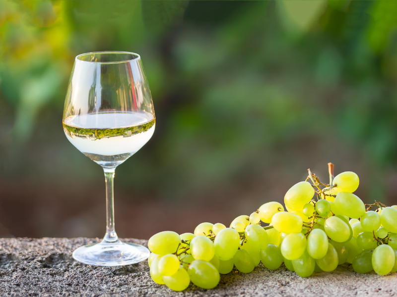 Weißwein in einem Weinglas neben einer Traube in grün.