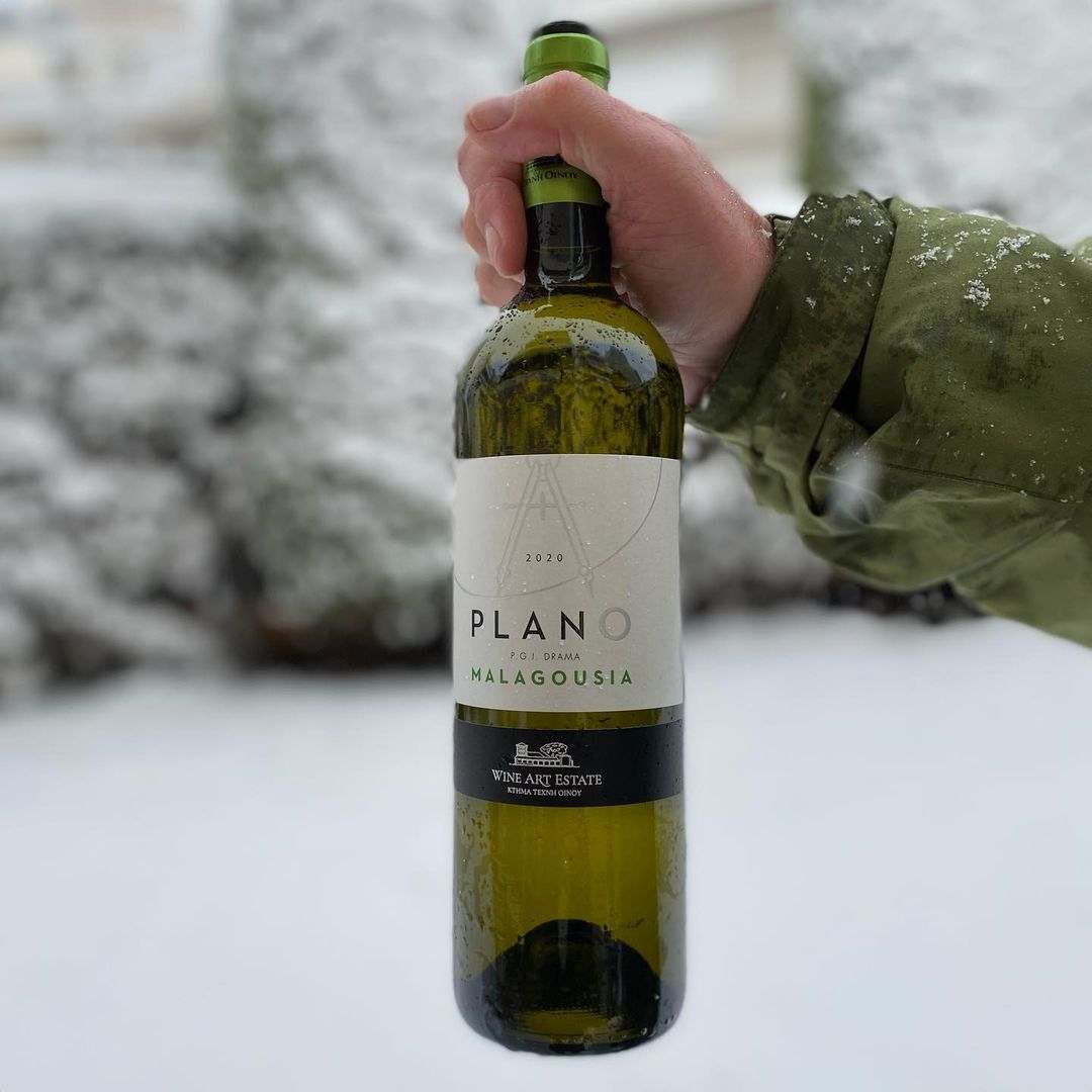 Plano Malagousia Weißwein 2024 trocken mit Aromen von Pfirsich und Zitrusfrüchten aus Drama PGI