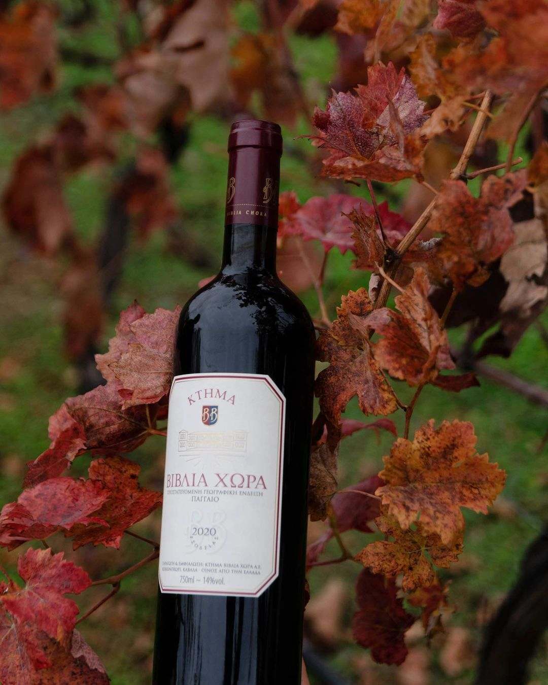Biblia Chora Rotwein Flasche im Weinblatt Herbstambiente Cabernet Merlot Pangeo PGI