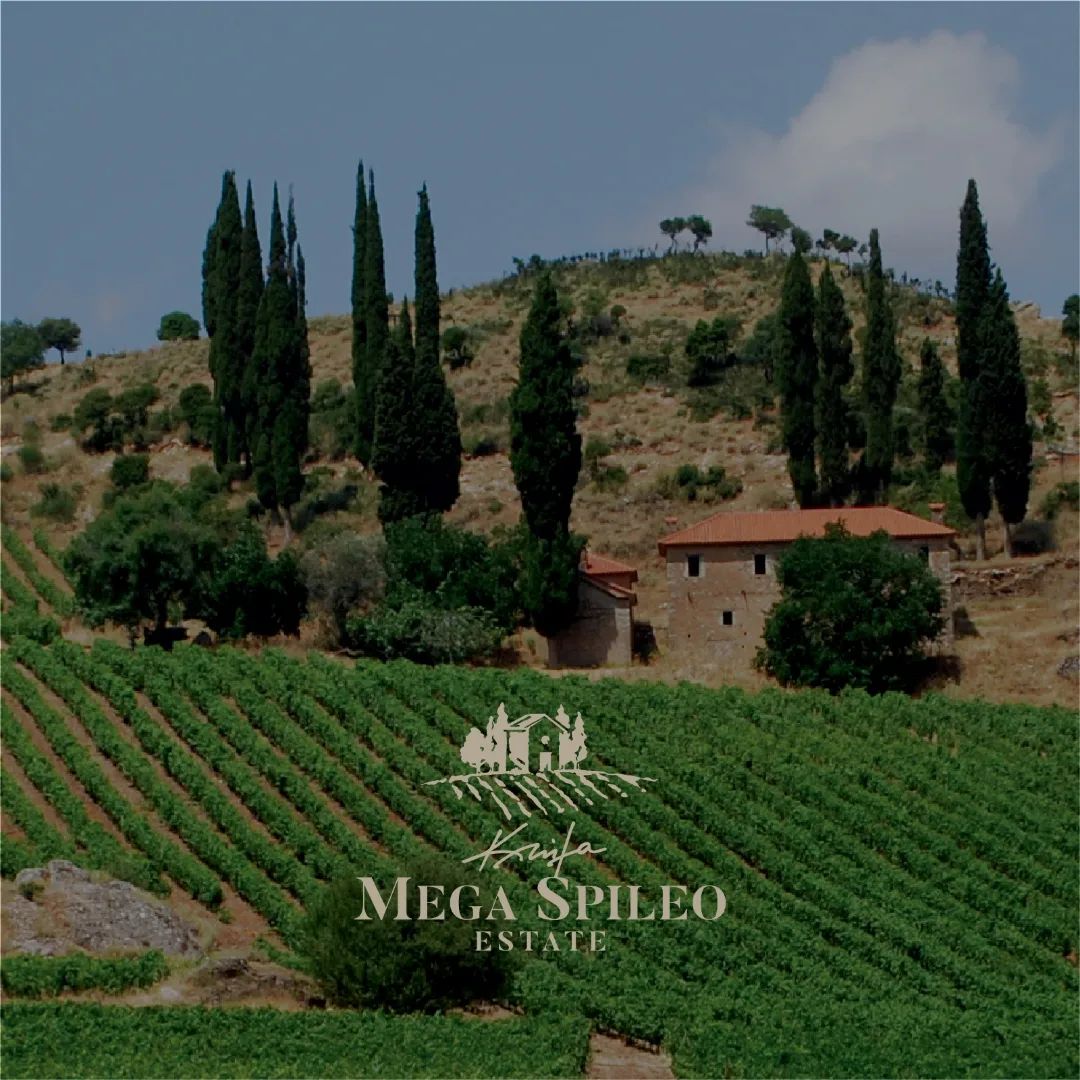 Mega Spileo Cuvee III Red Wine | Cuvee III Red | Vineas