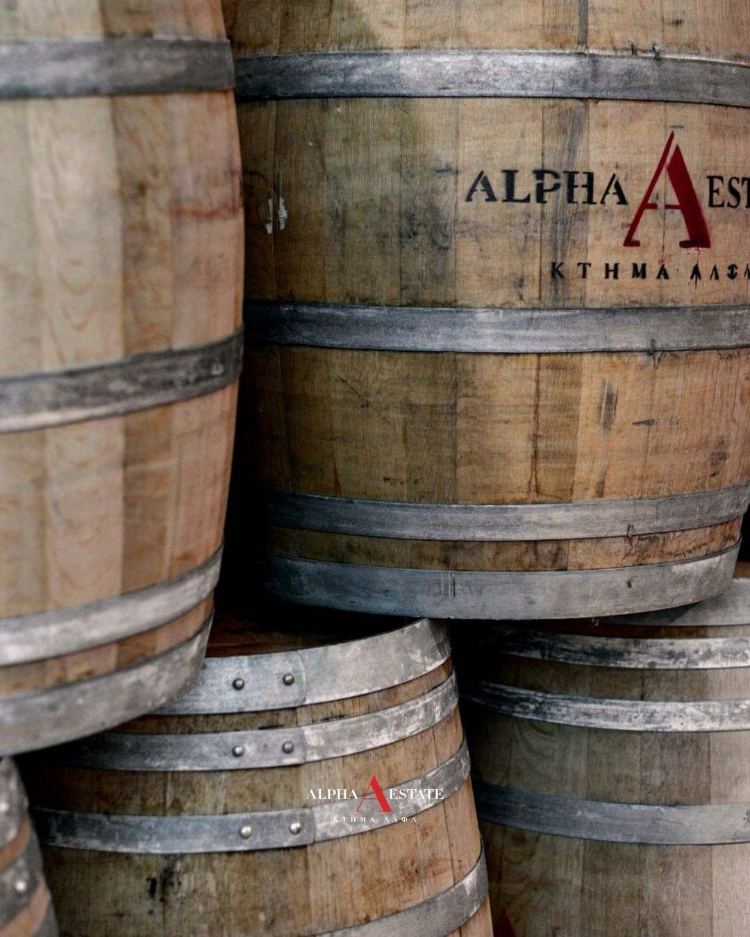 Holzfass für die Weinlagerung von Syrah Turtles Alpha Estate Wein aus Amyndeo