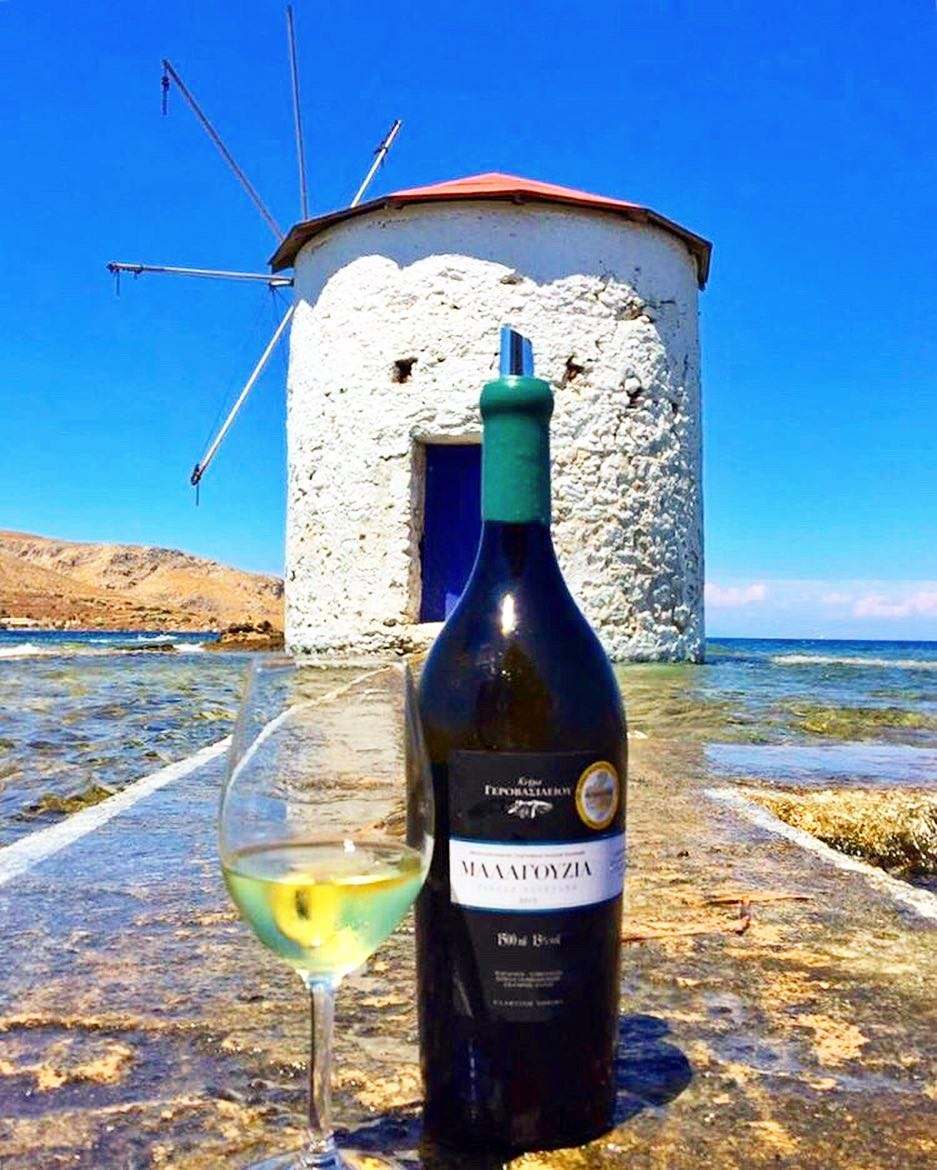 Gerovassiliou Malagousia Weißwein 2024 mit exotischen Fruchtaromen vor Windmühle am Meer