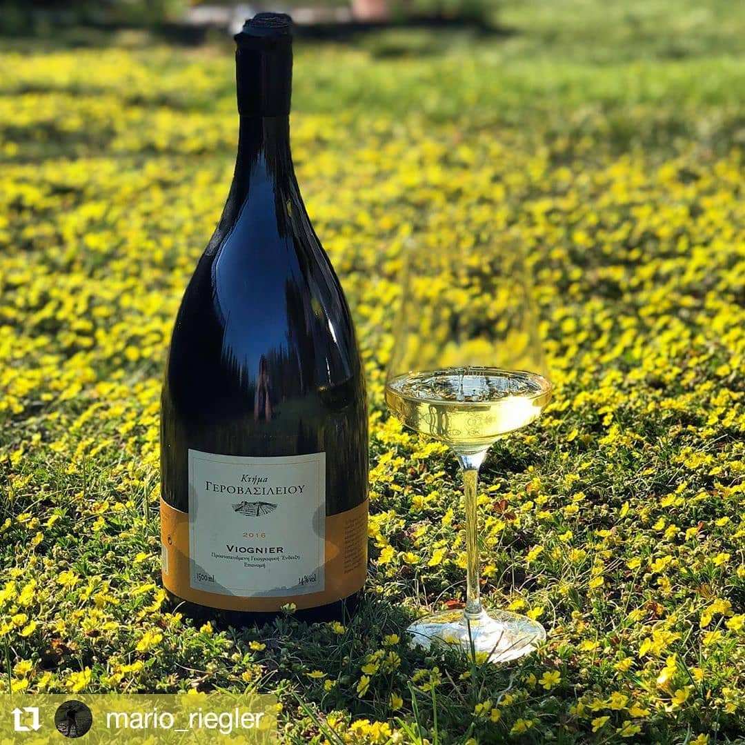 Gerovassiliou Viognier Weißwein 2024 mit fruchtigen Aprikosen- und Pfirsichnoten, Ausbau im Holzfass, 14% Vol.